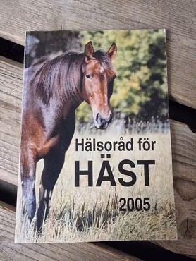 Hälsoråd för häst