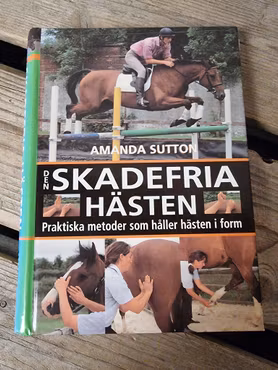 Den skadefria hästen av Amanda Sutton