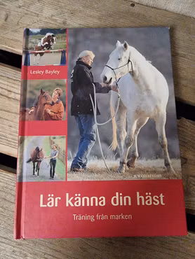 Lär känna din häst av Lesley Bayley