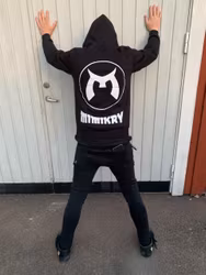 Hoodie - Emmet