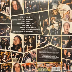 BIRDNEST YEARS - LP