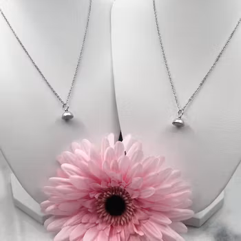 Matchande Halsband Magnet Silver