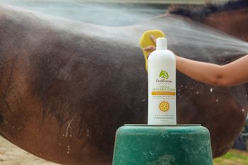 Ecolicious Green and Squeky Clean Shampoo 946 ml