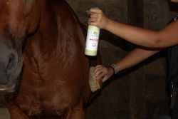 Glossy Coat Shimmer 472 ml