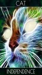 Spirit Animal Oracle (Engelsk)