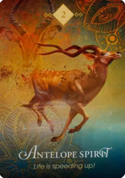 The spirit animal oracle (Engelsk)