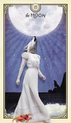 The Tarot of Curious Creatures  (Engelsk)