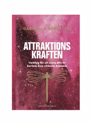 Attraktionskraften verktyg för att styra ditt liv bortom dina vildaste drömmar - Bernstein Gabrielle