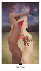 The Field Tarot (Engelsk)