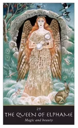 The Witches' Oracle  (Engelsk)