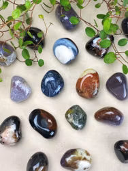 Sardonyx trumlad ca 20-40mm 1 st