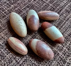 Shiva Lingam trumlad AA 20-30mm 1 styck
