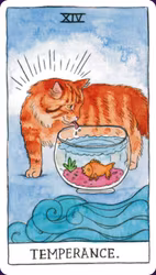 Cat Tarot (Engelsk)