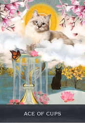 Grimalkin's Curious Cats Tarot (Engelsk) NYHET