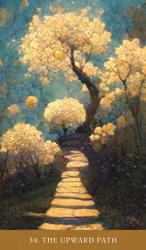 The Path of Light Oracle - NYHET!