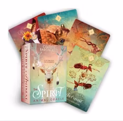 The spirit animal oracle (Engelsk)