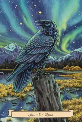 Everyday Witch's Familiars Oracle NYHET!