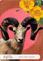 Wise Earth Medicine Tarot (Engelsk) NYHET!
