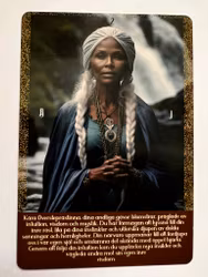 Nya insikter tarot ( Svensk) NYHET!