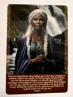 Nya insikter tarot ( Svensk) NYHET!