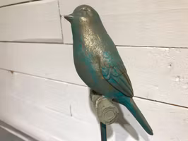 Sångfågel