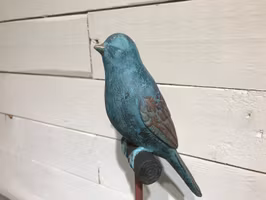 Sångfågel