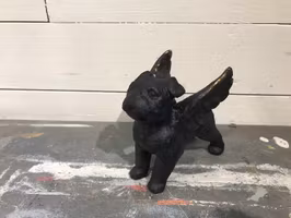 Änglahund