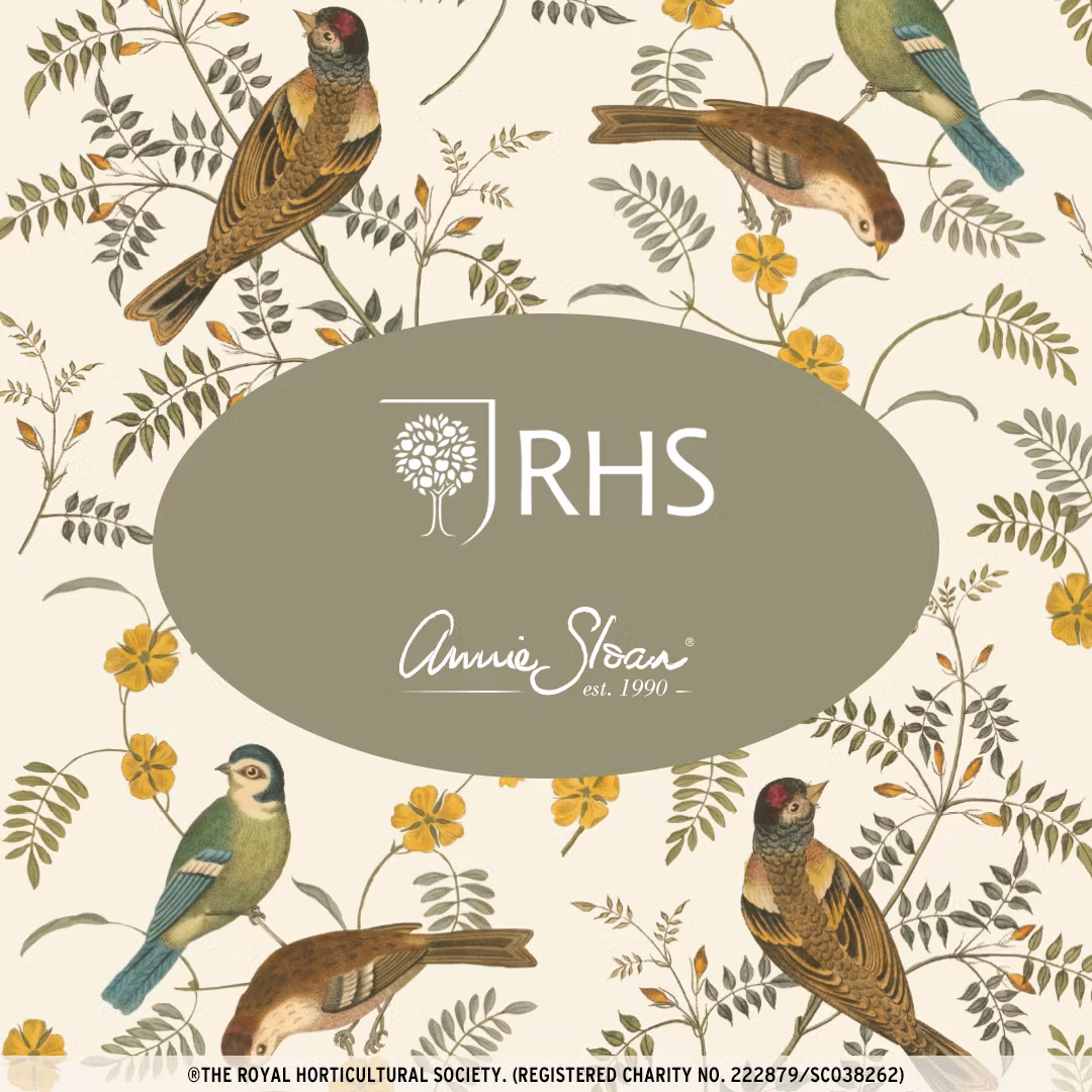 Annie Sloan Decoupagepapper Songbirds