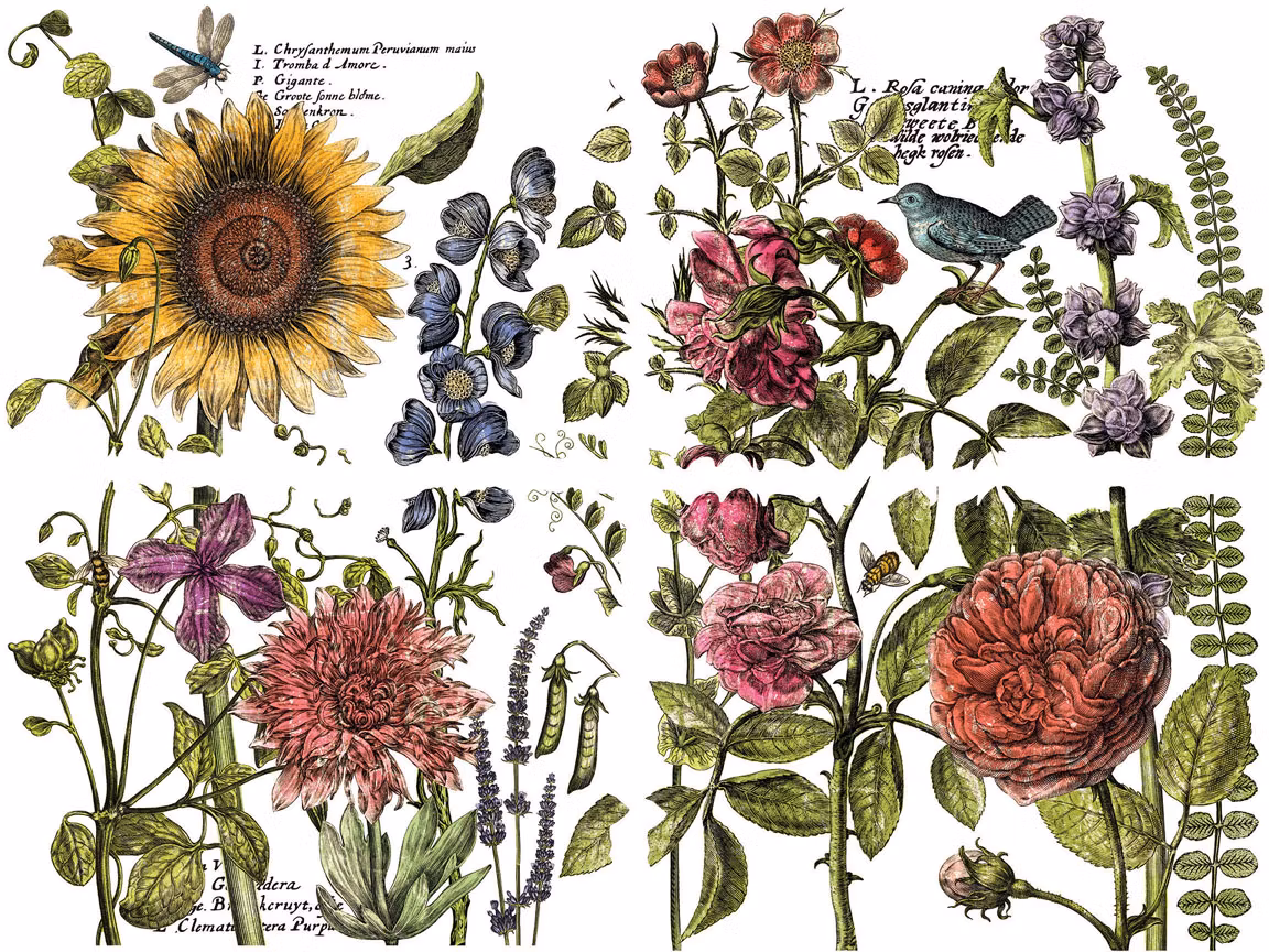 IOD Transfer Botanist's journal