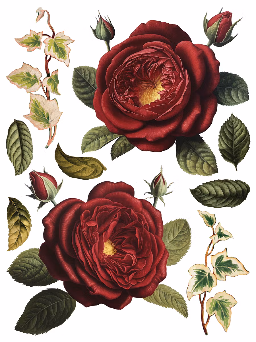 IOD Transfer Collage de fleurs