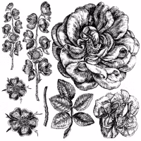 IOD Stamps Lady of Shalott