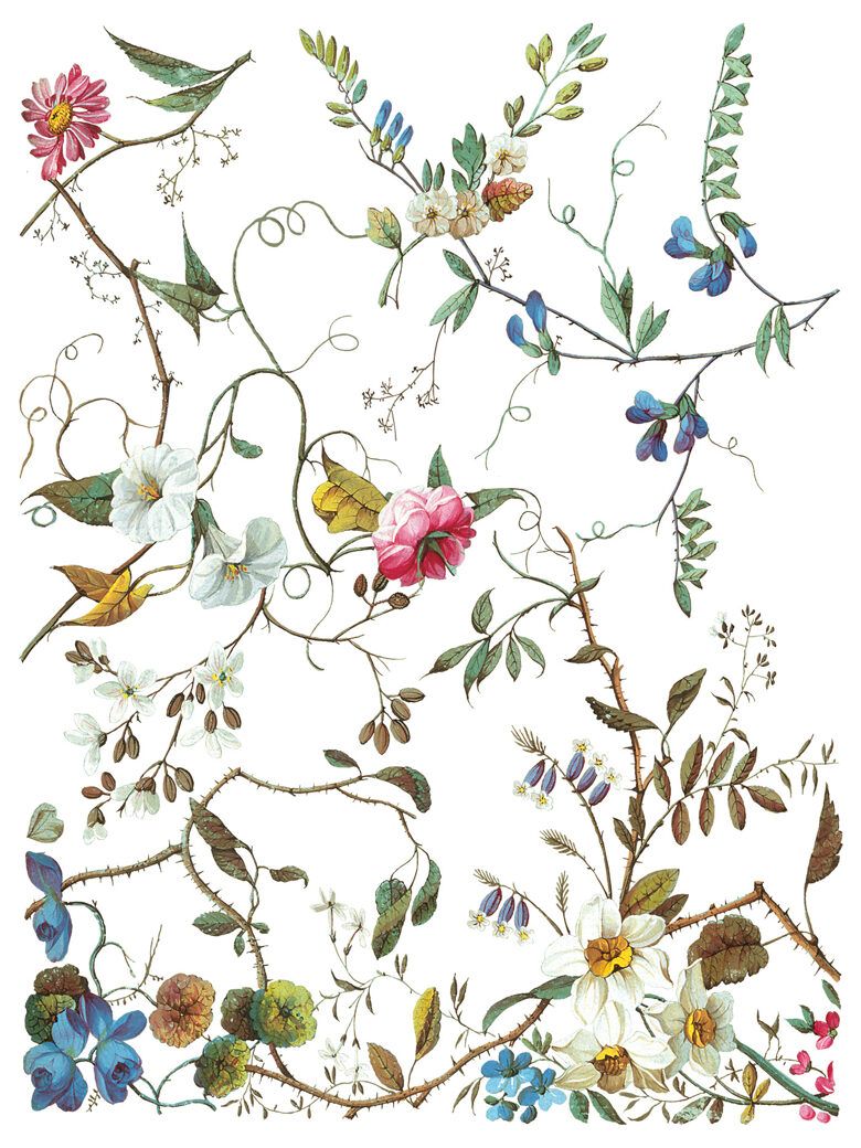 IOD Transfer Lost Garden