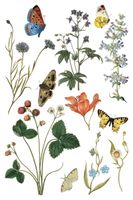 IOD Transfer Wild Bloemen