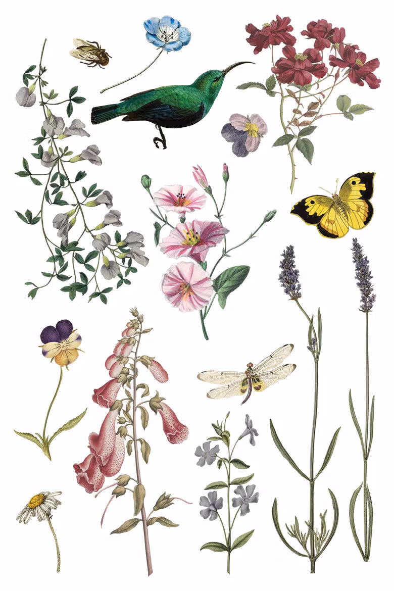IOD Transfer Wild Bloemen