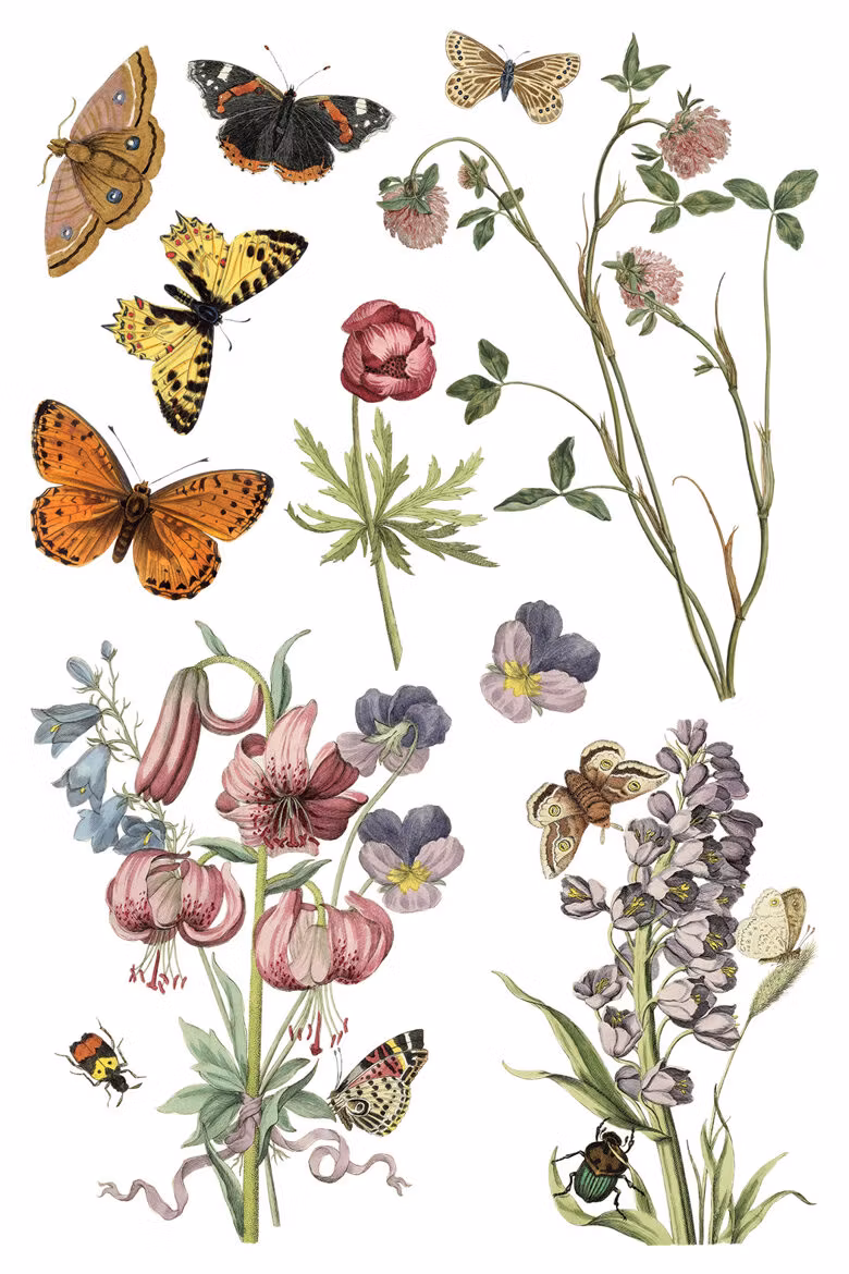 IOD Transfer Wild Bloemen