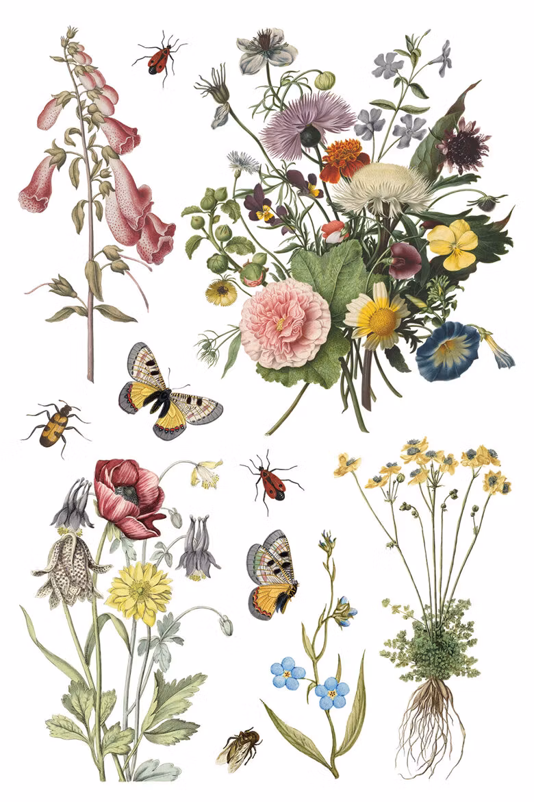 IOD Transfer Wild Bloemen