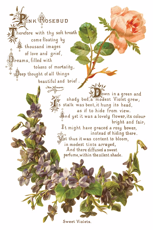 IOD Transfer Lover of Flowers