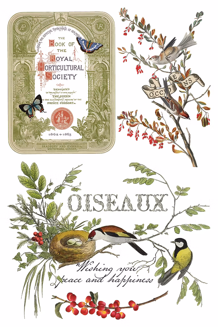 IOD Transfer Winter Botanist - Kommer snart