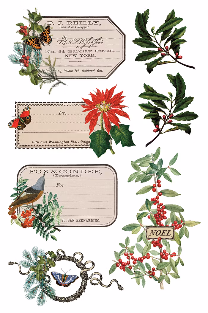 IOD Transfer Winter Botanist - Kommer snart