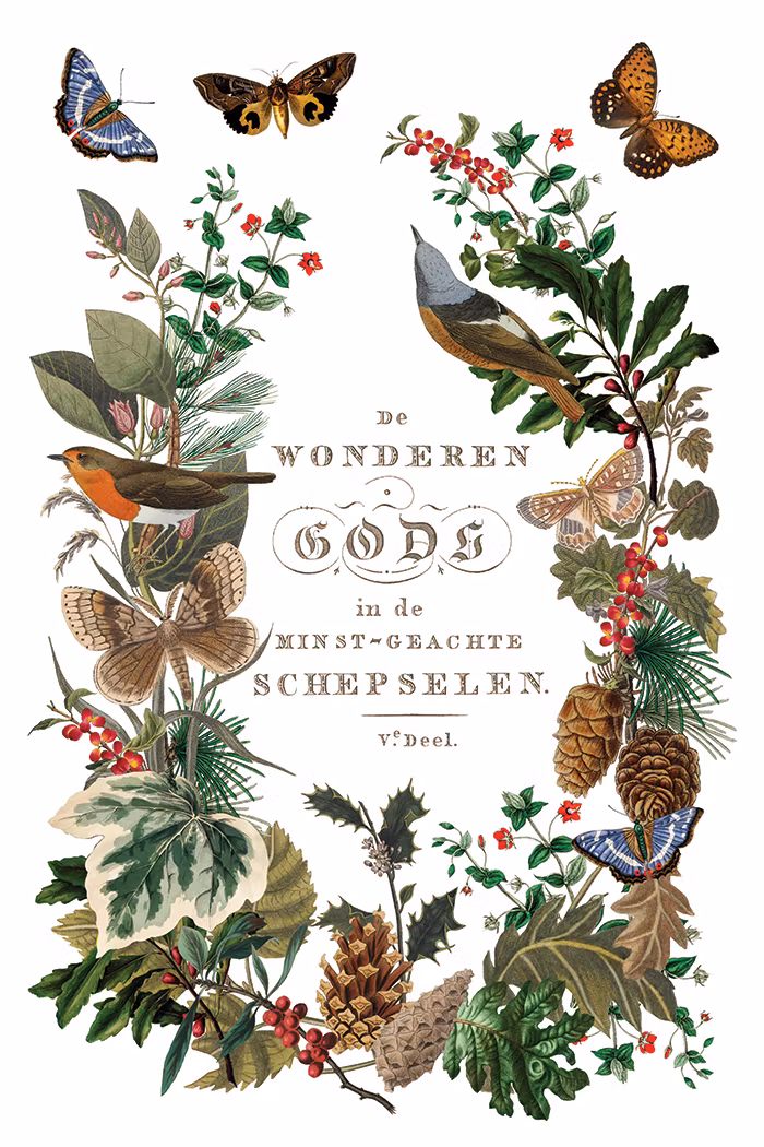 IOD Transfer Winter Botanist - Kommer snart