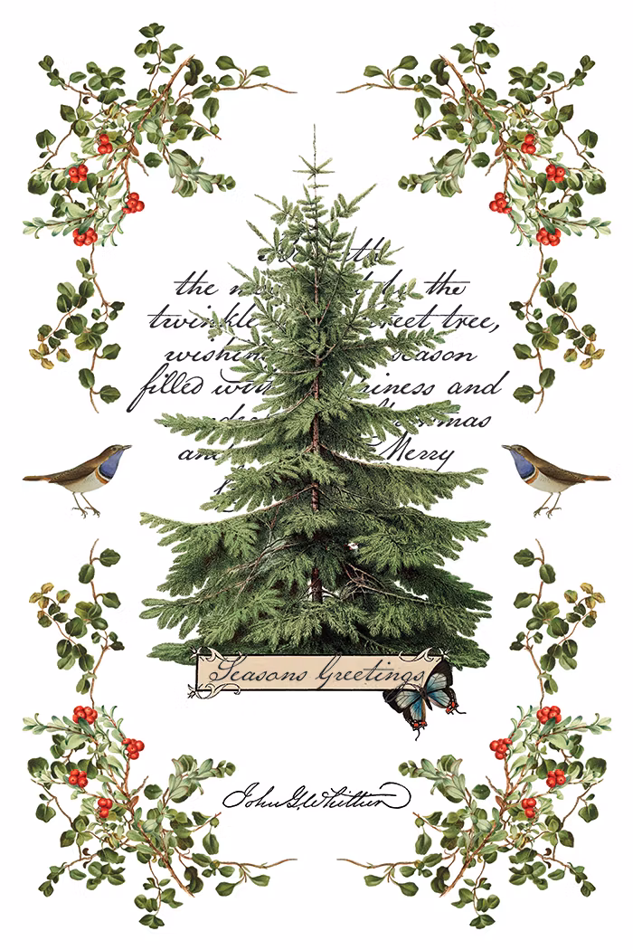 IOD Transfer Winter Botanist - Kommer snart