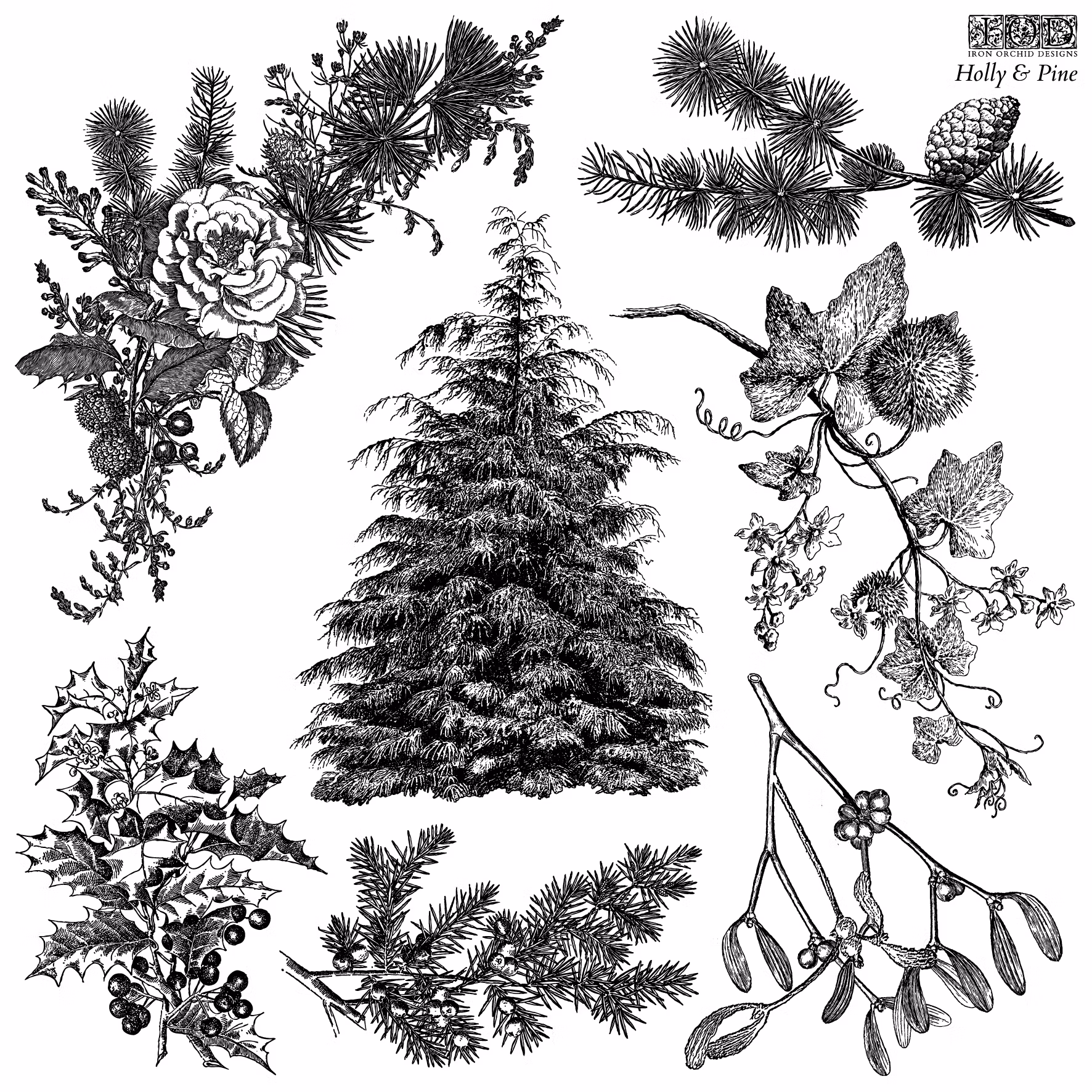 IOD Stamps Holly & Pine - På väg in