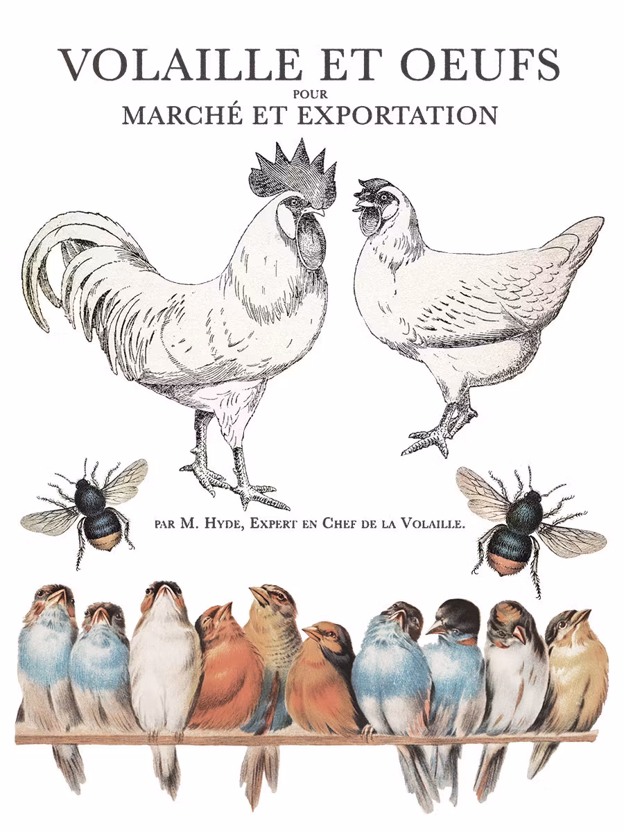 IOD Transfer Brocante