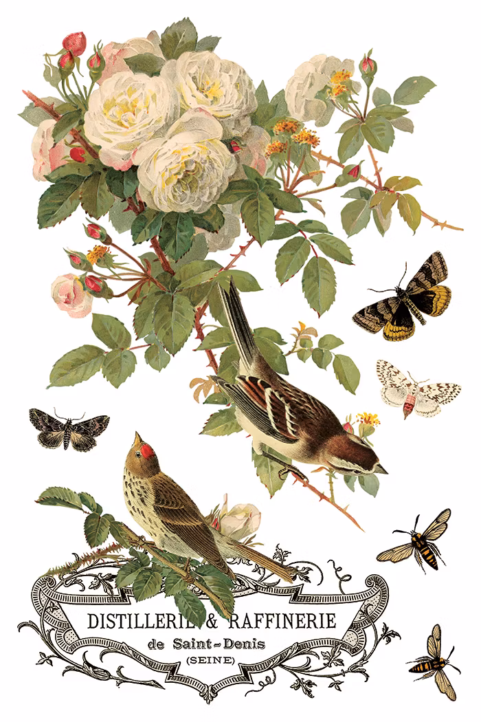 IOD Transfer By Any Other Name