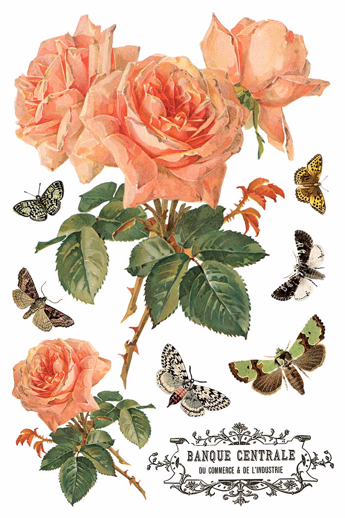 IOD Transfer By Any Other Name