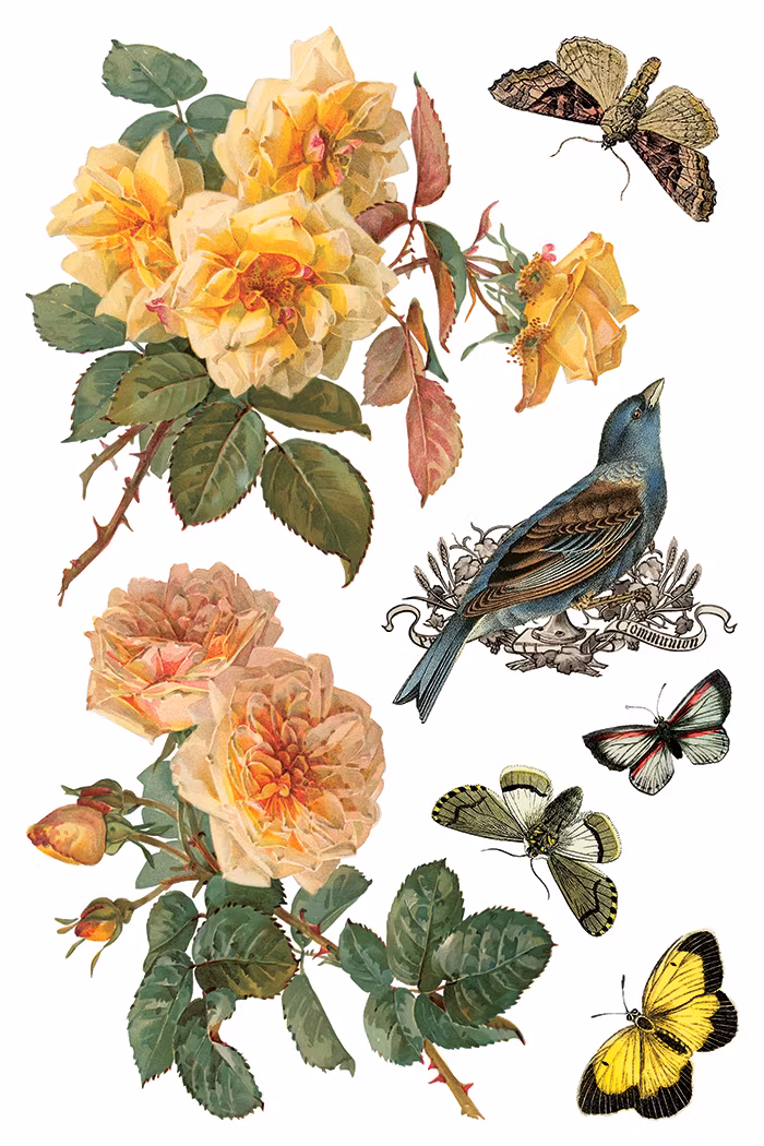 IOD Transfer By Any Other Name