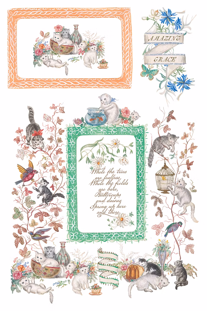 IOD Transfer Emily Clare