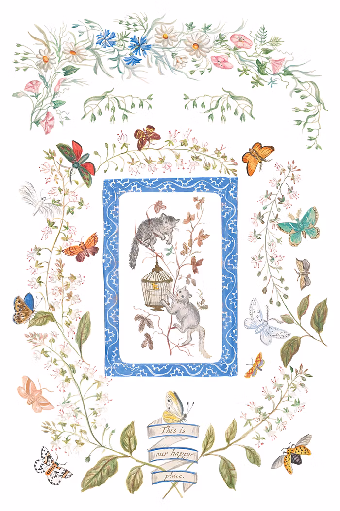 IOD Transfer Emily Clare