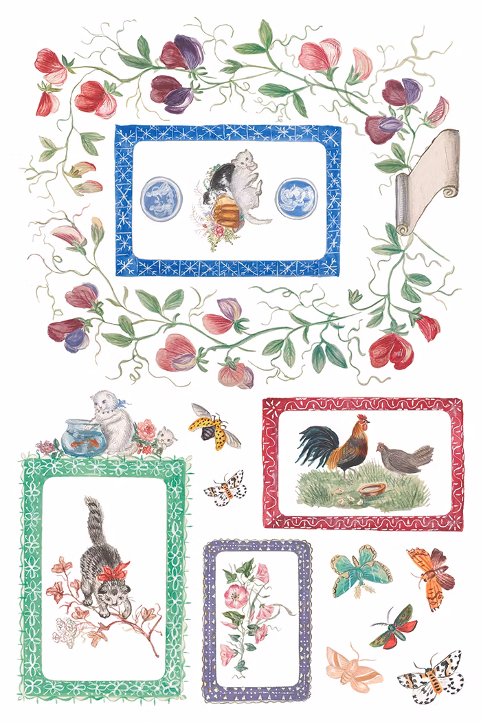 IOD Transfer Emily Clare