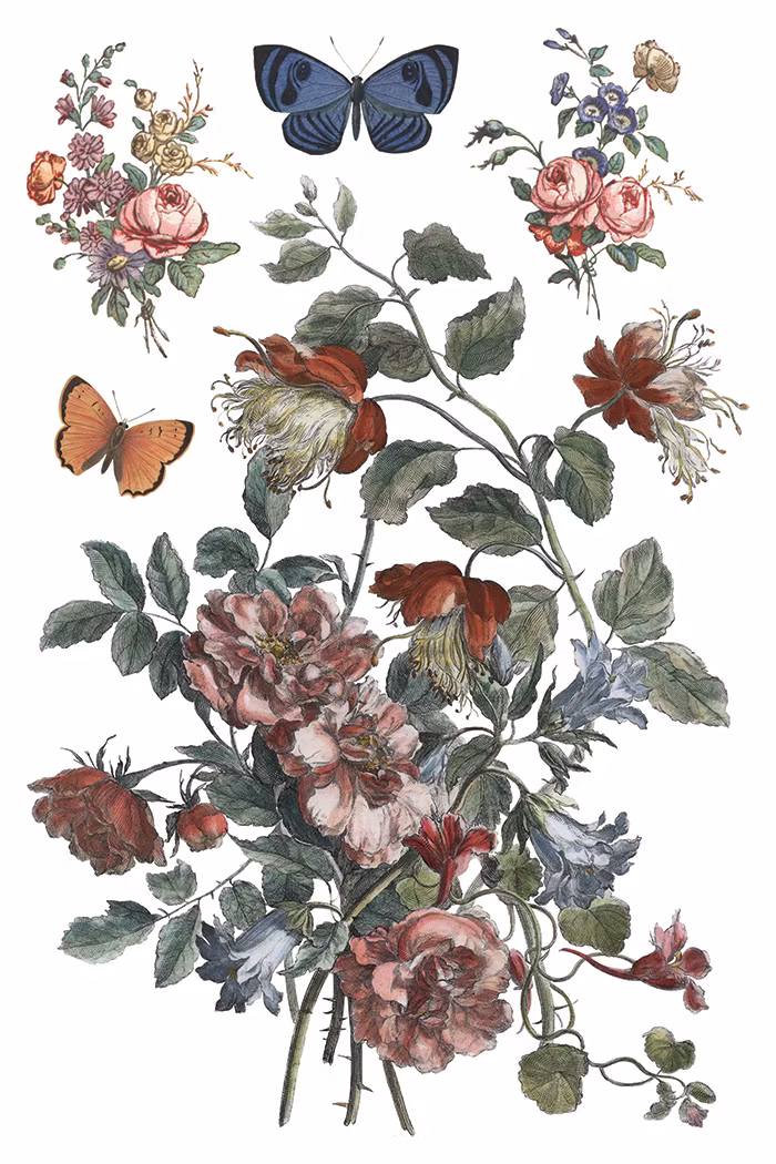 IOD Transfer Saint Ouen